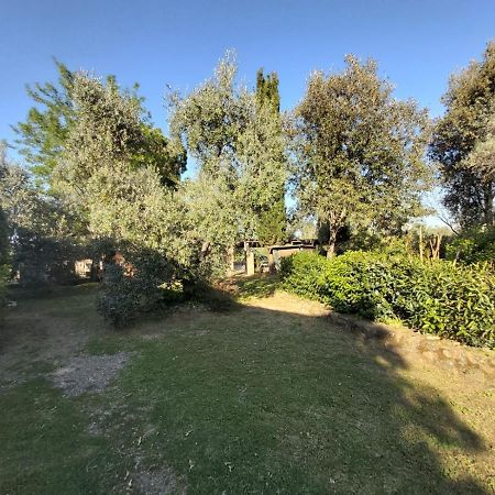 Tenuta Santa Maria Villa Campagnatico Exterior foto