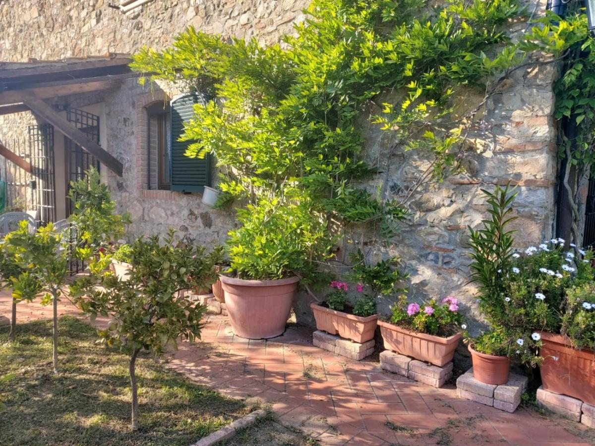 Tenuta Santa Maria Villa Campagnatico Exterior foto