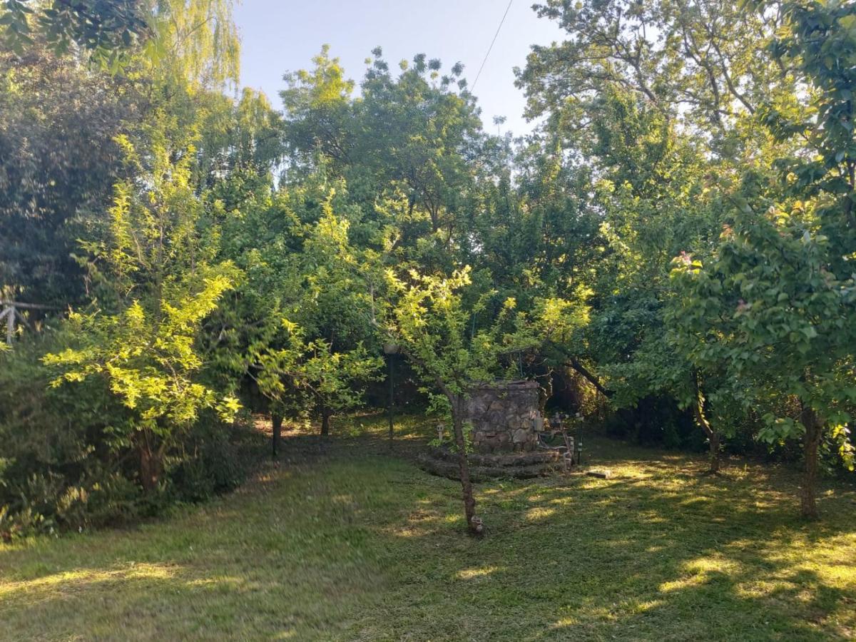 Tenuta Santa Maria Villa Campagnatico Exterior foto