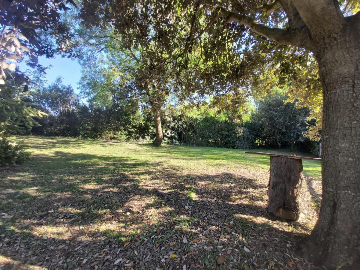 Tenuta Santa Maria Villa Campagnatico Exterior foto