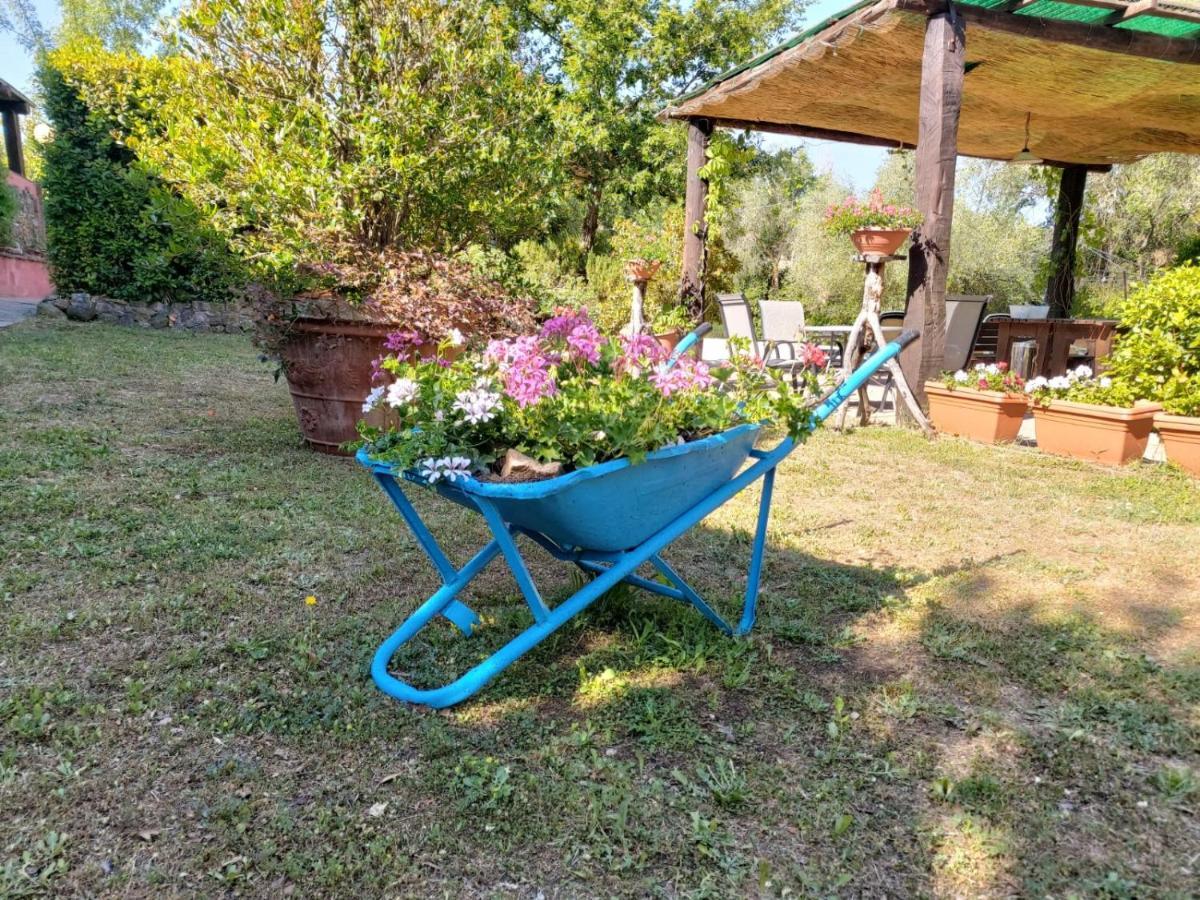 Tenuta Santa Maria Villa Campagnatico Exterior foto