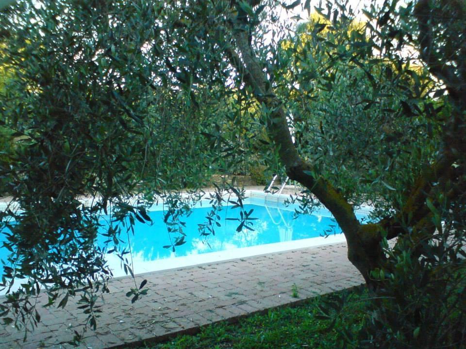 Tenuta Santa Maria Villa Campagnatico Exterior foto